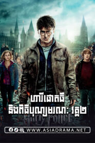 Harry Potter and the Deathly Hallows Part 2 2011